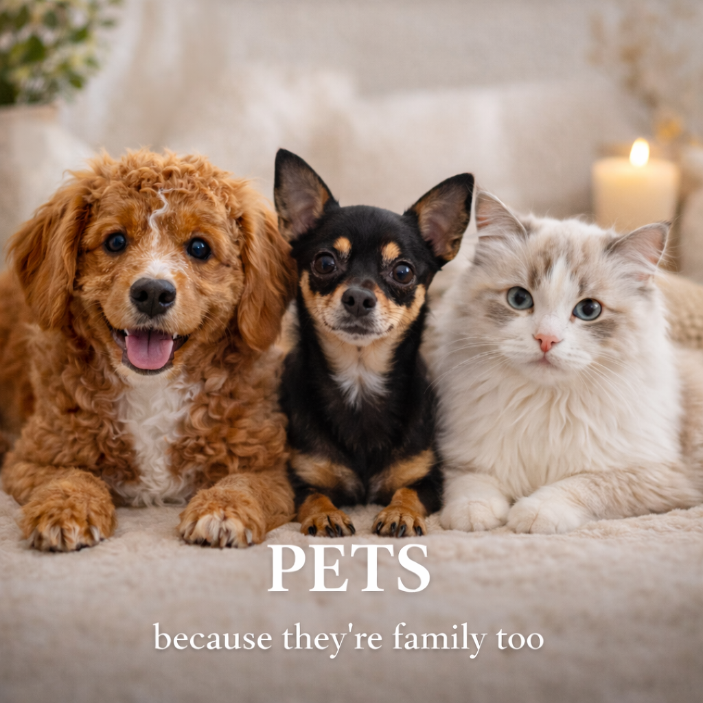 Pets